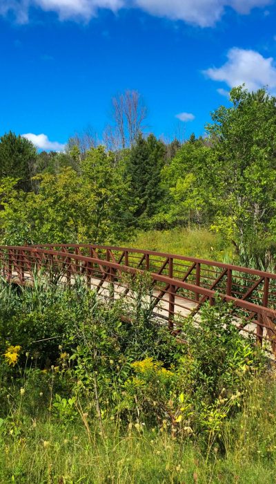 29027251714_9345261af3_o